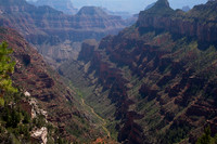 Grand Canyon View From Widforss Trail, North Rim