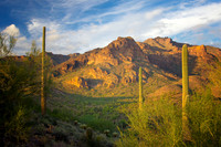 Late Afternoon in the Superstition Wilderness