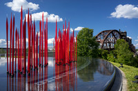Red Reeds