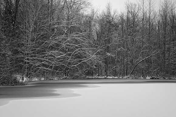 Snow on Pond